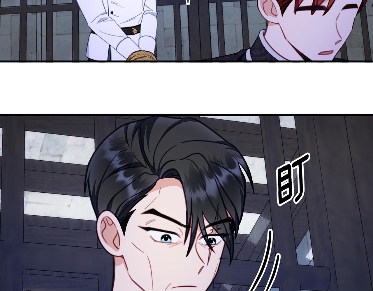 48.jpg