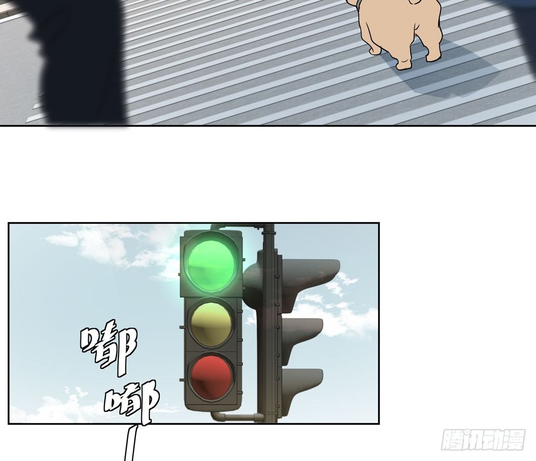 41.jpg