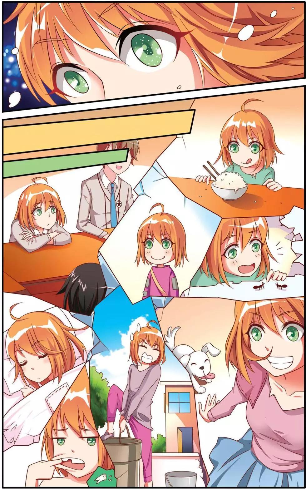 12.jpg