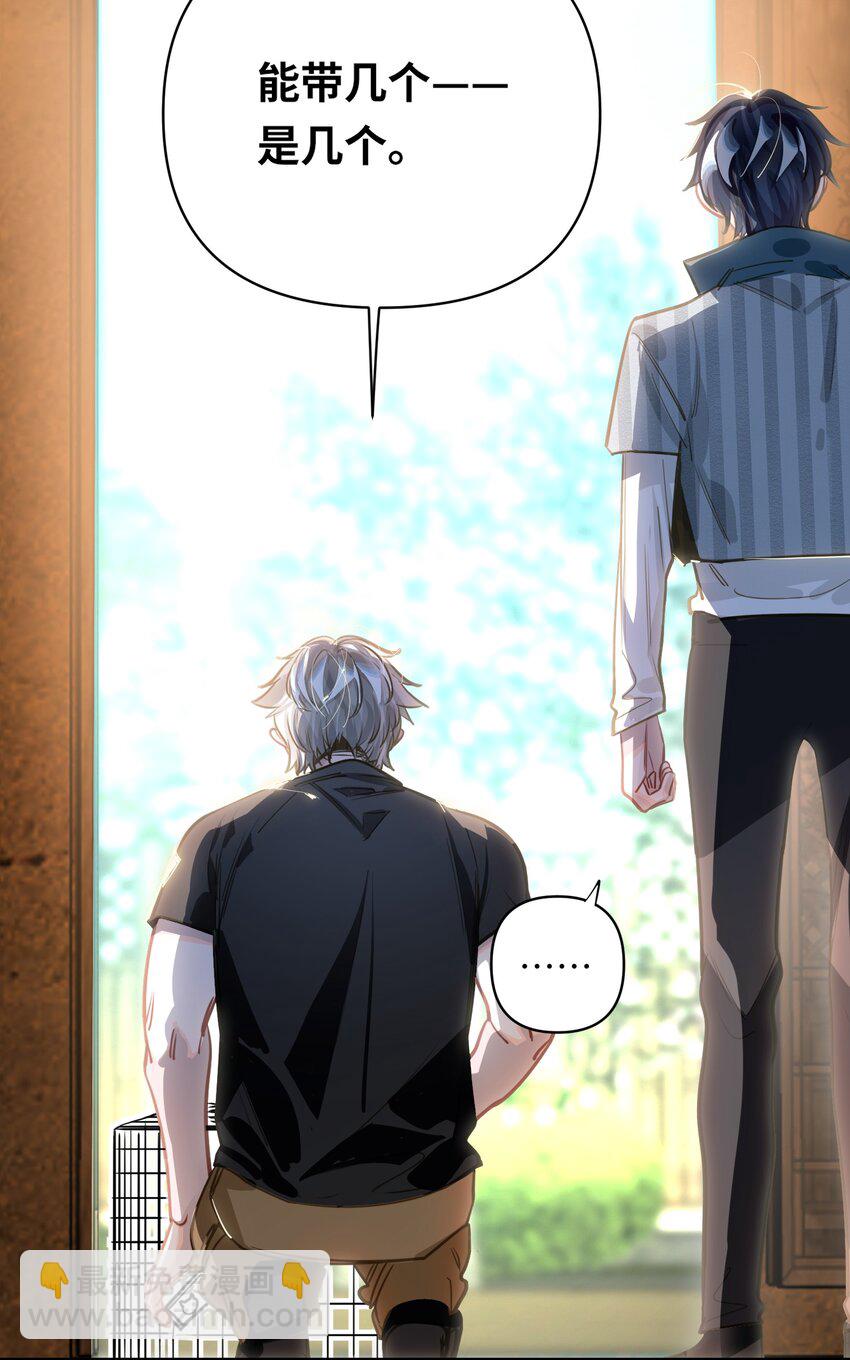 31.jpg
