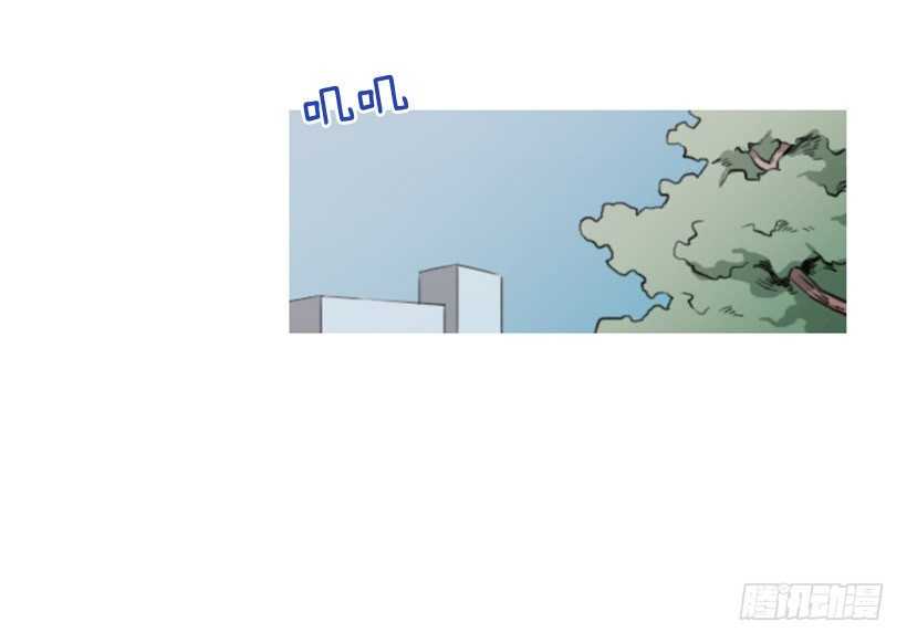 33.jpg