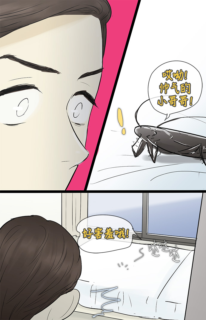 13.jpg