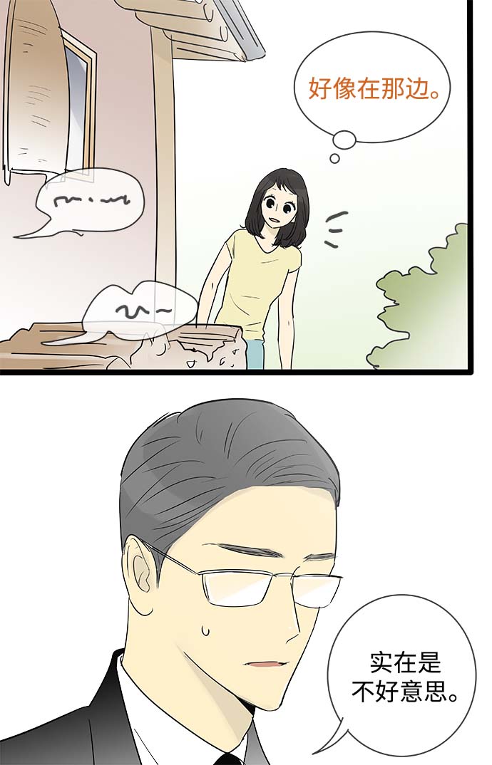 35.jpg