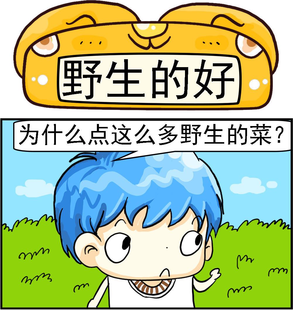1.jpg