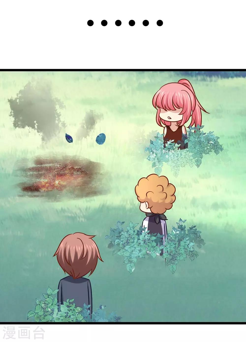 31.jpg