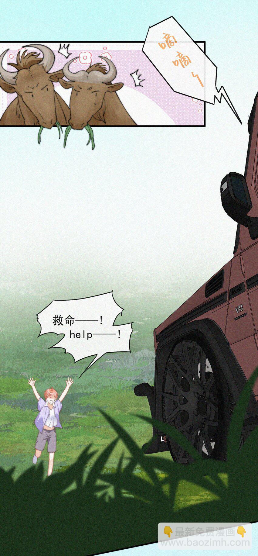 39.jpg