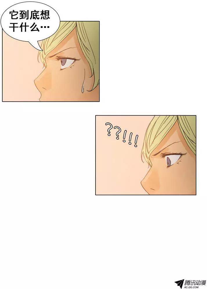 13.jpg