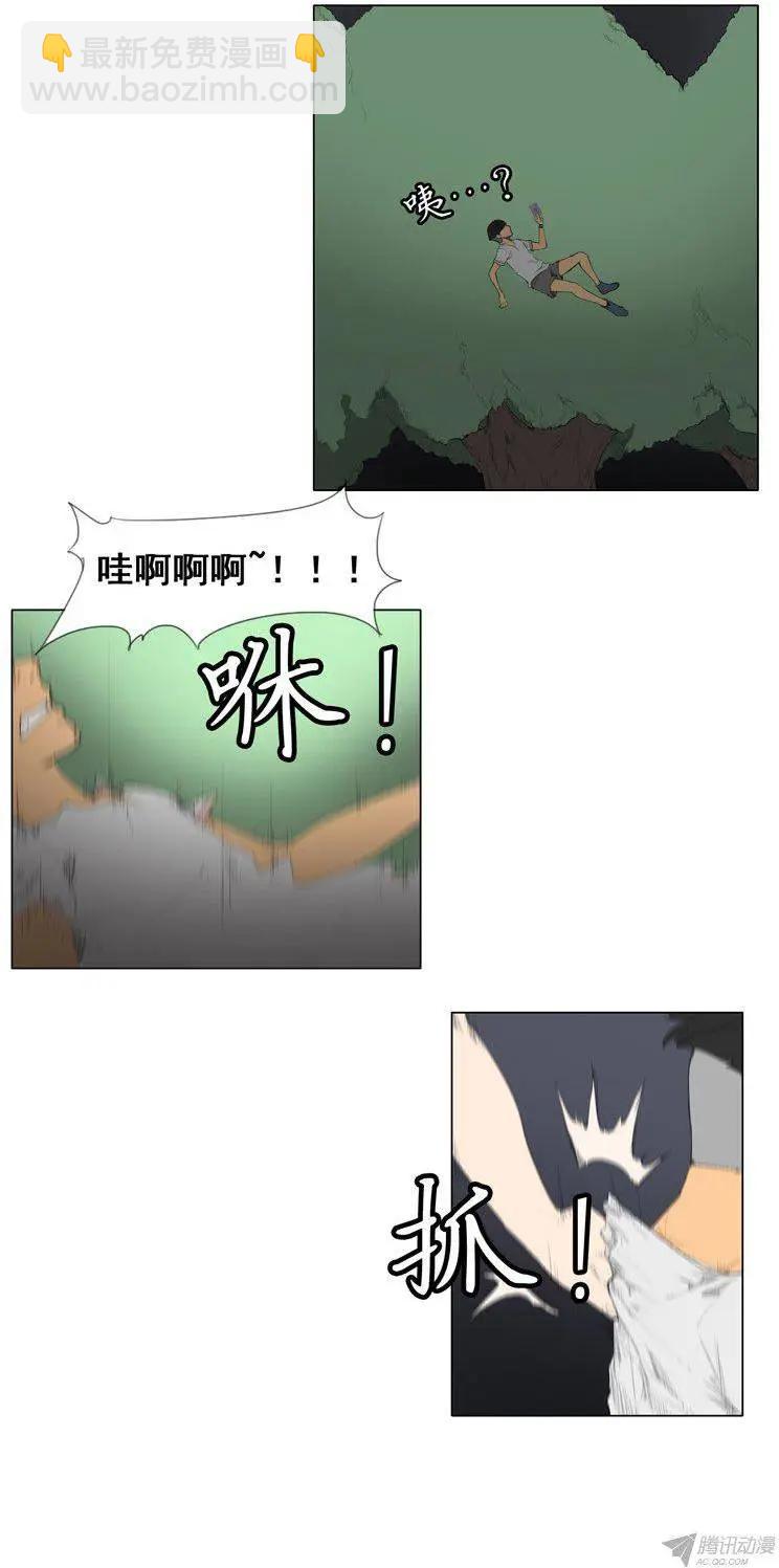 5.jpg