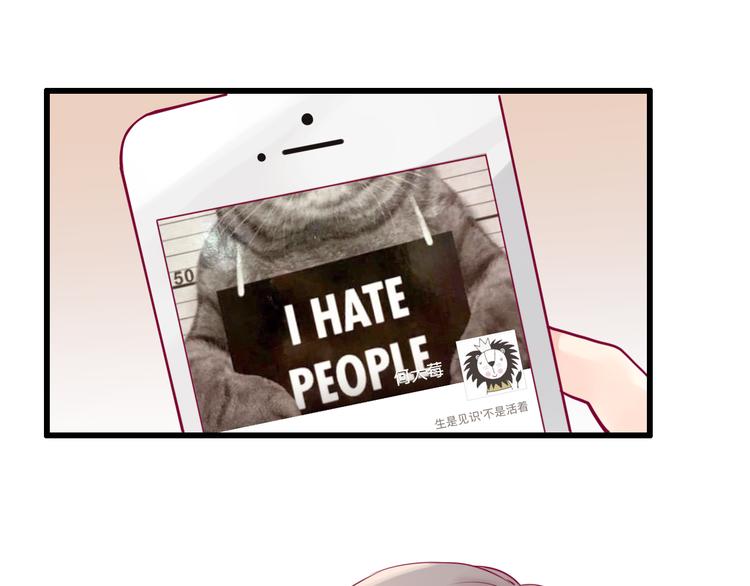 45.jpg