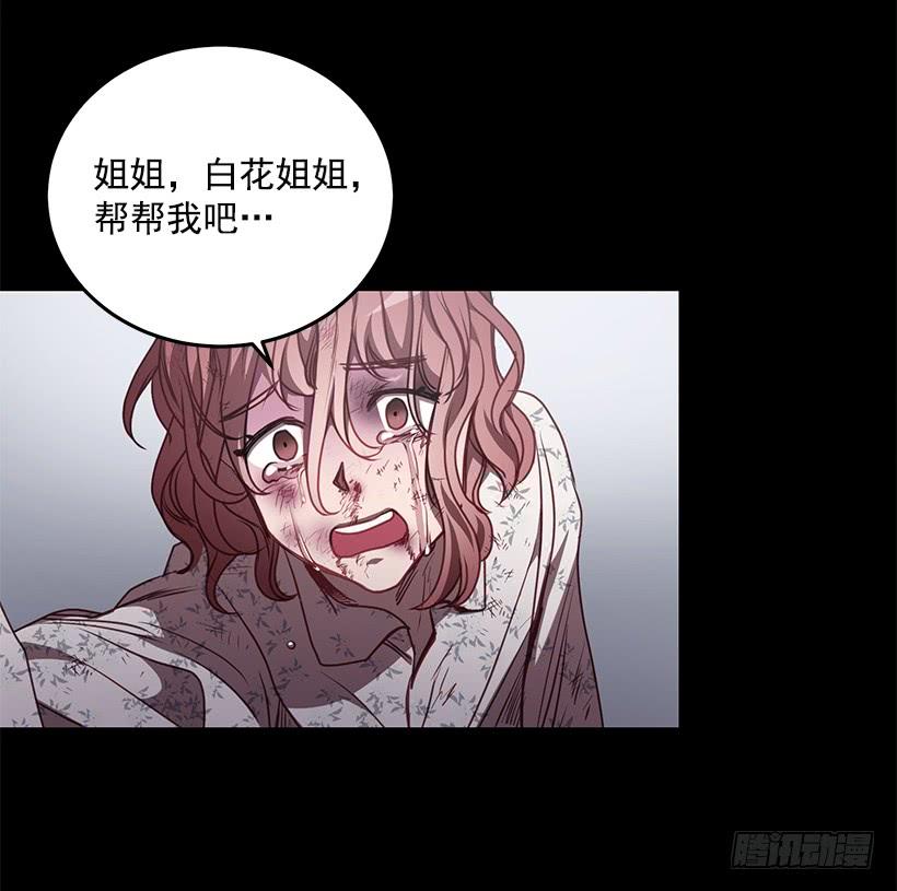 48.jpg