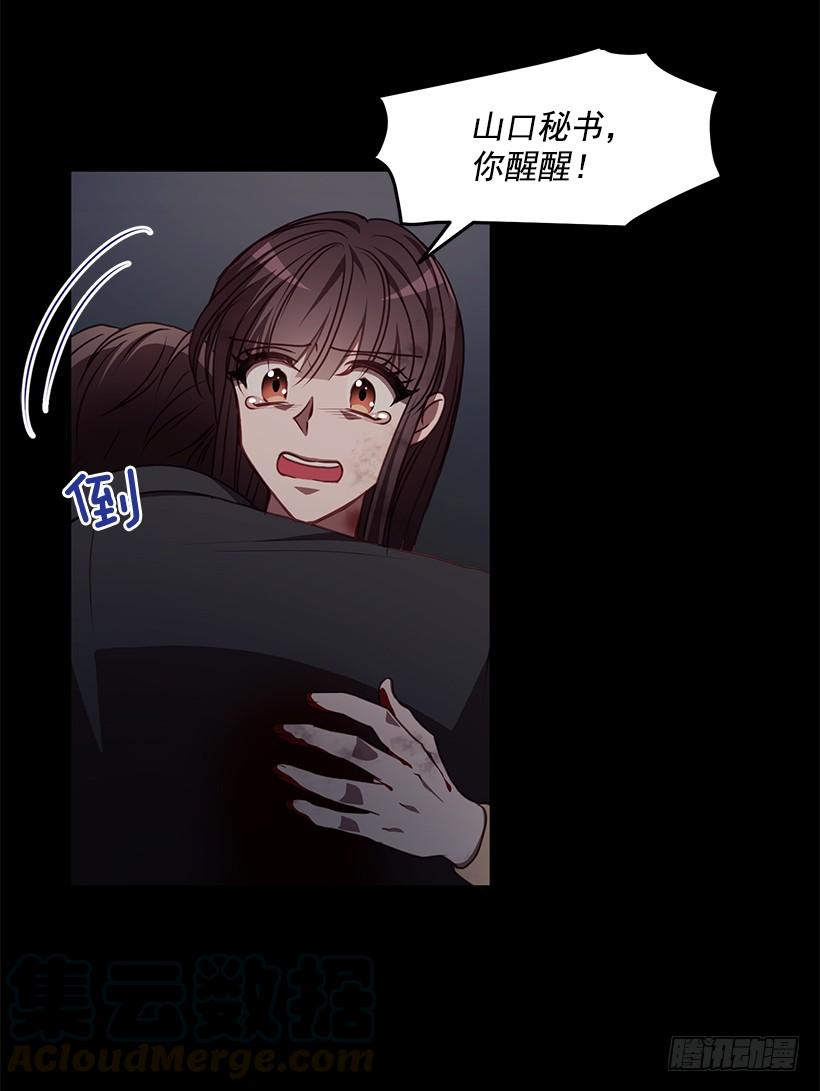 41.jpg