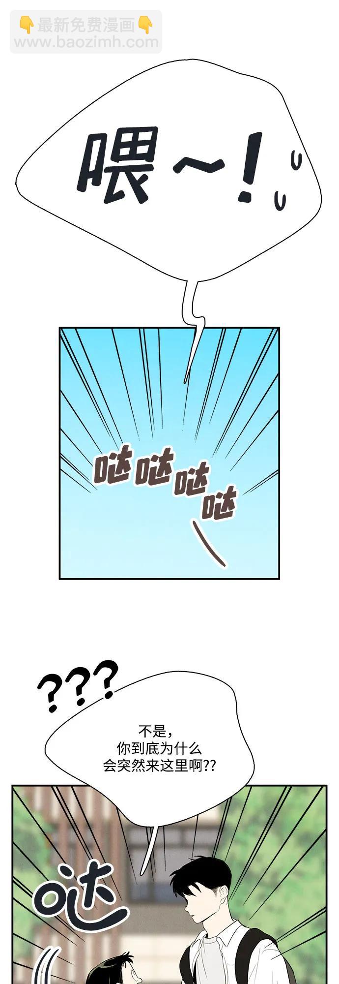 39.jpg