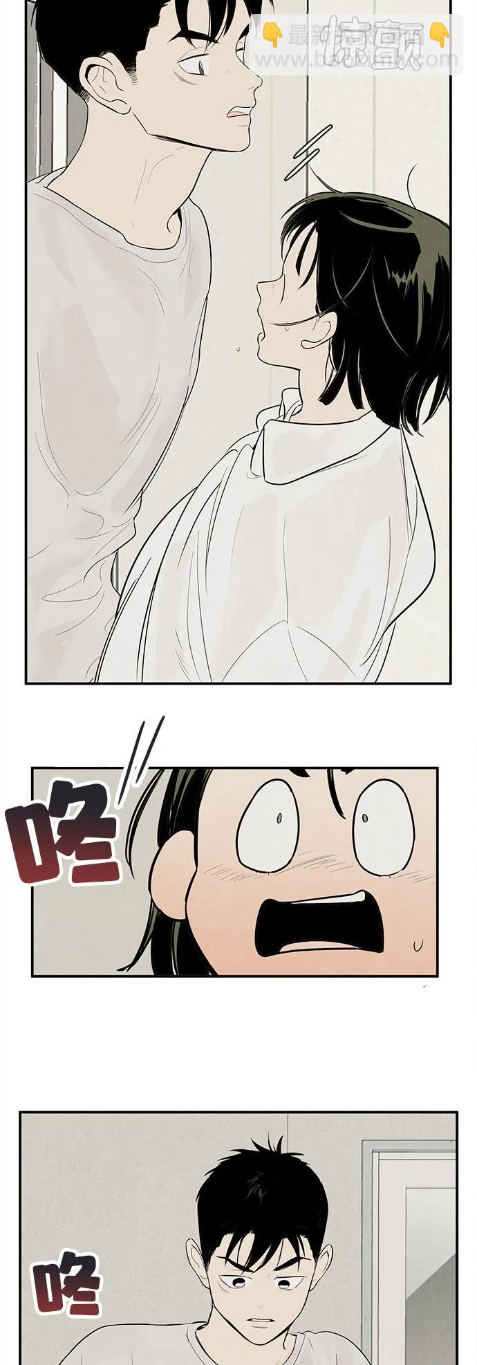 41.jpg
