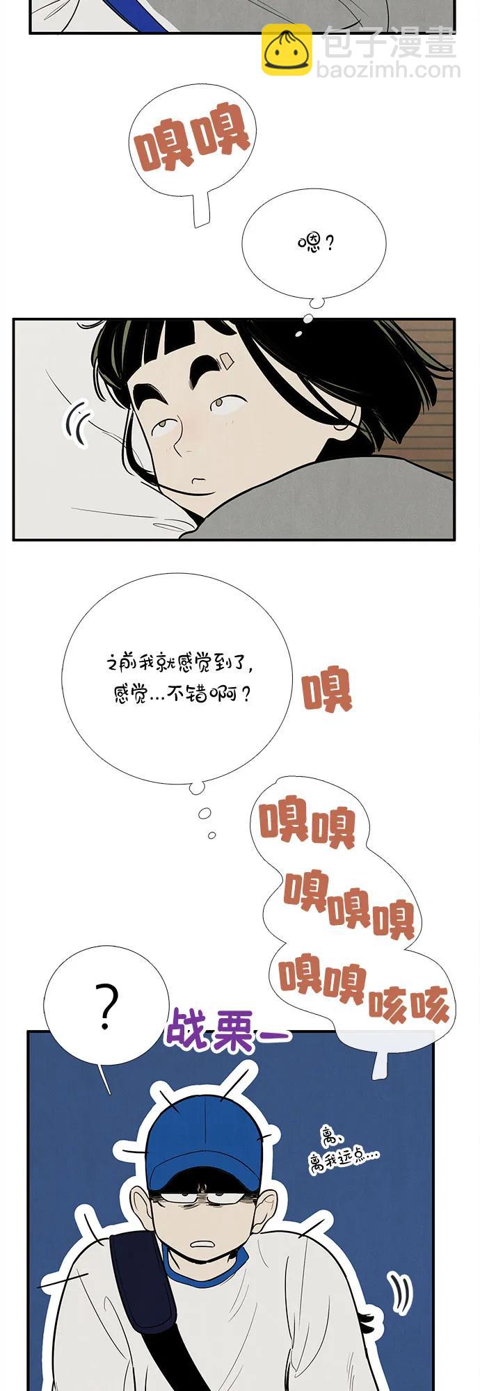 41.jpg