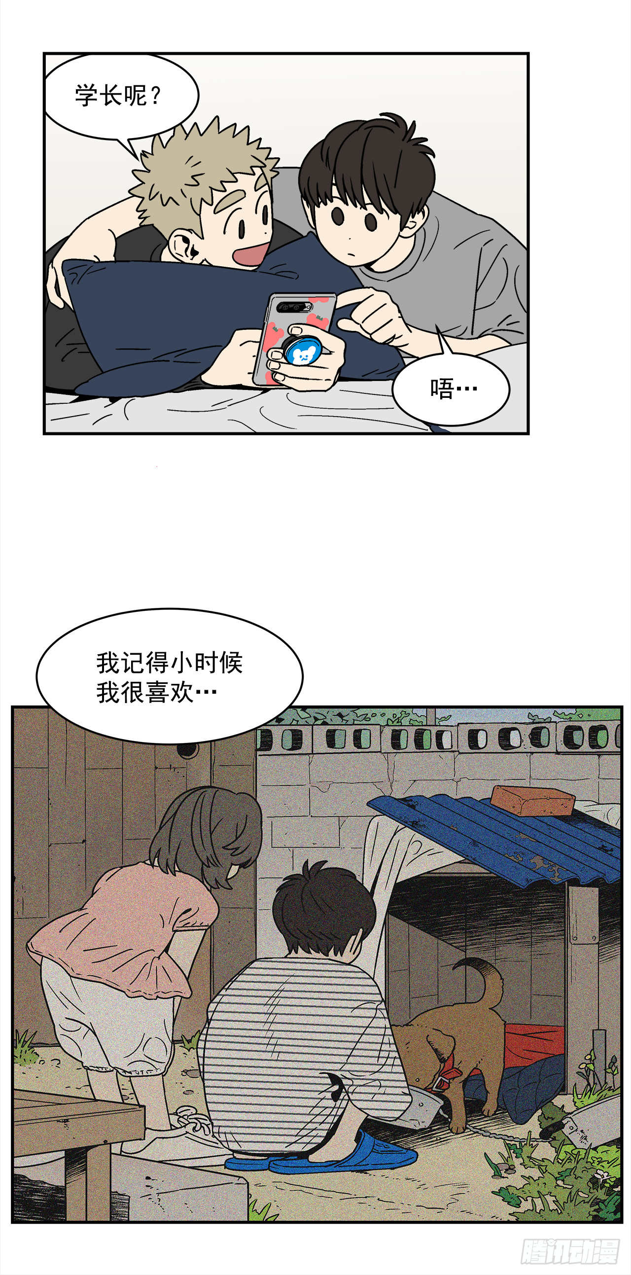 11.jpg
