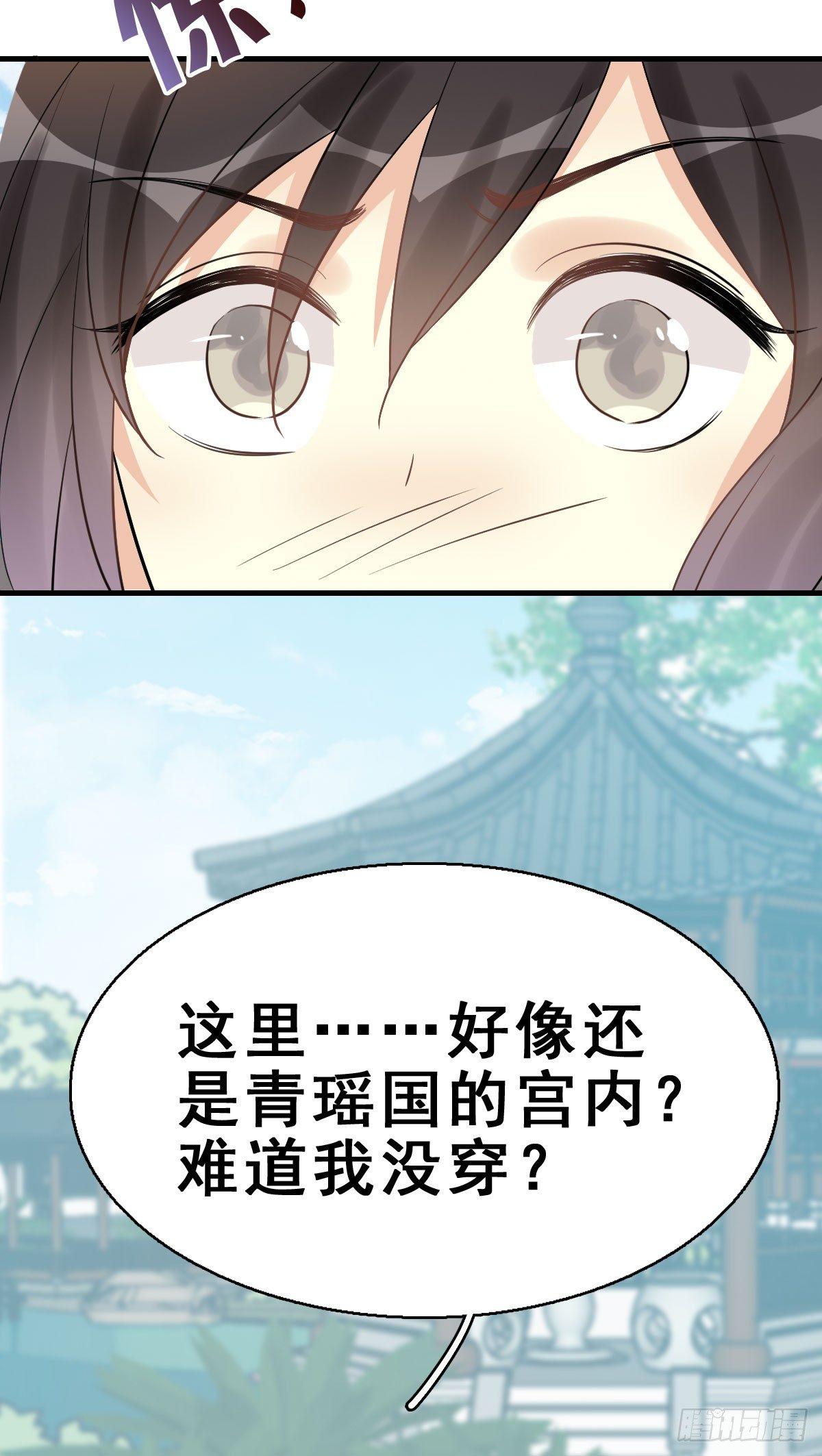 48.jpg