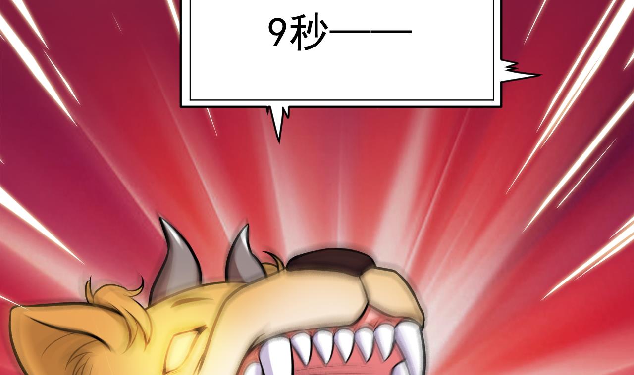 46.jpg