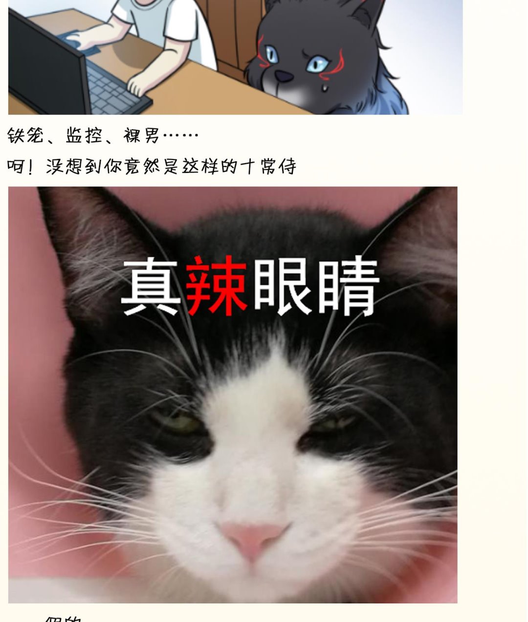 47.jpg