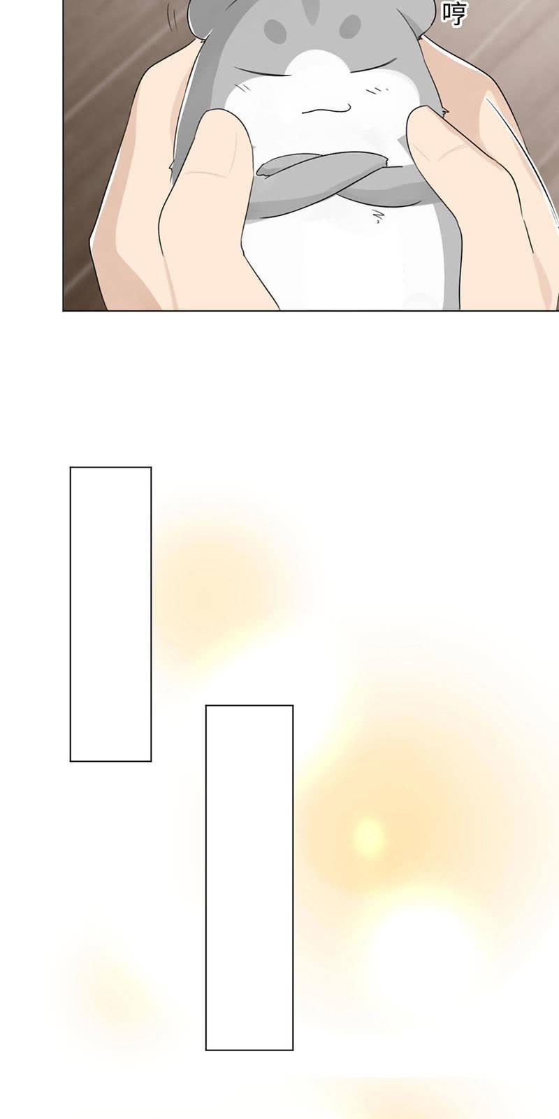 16.jpg