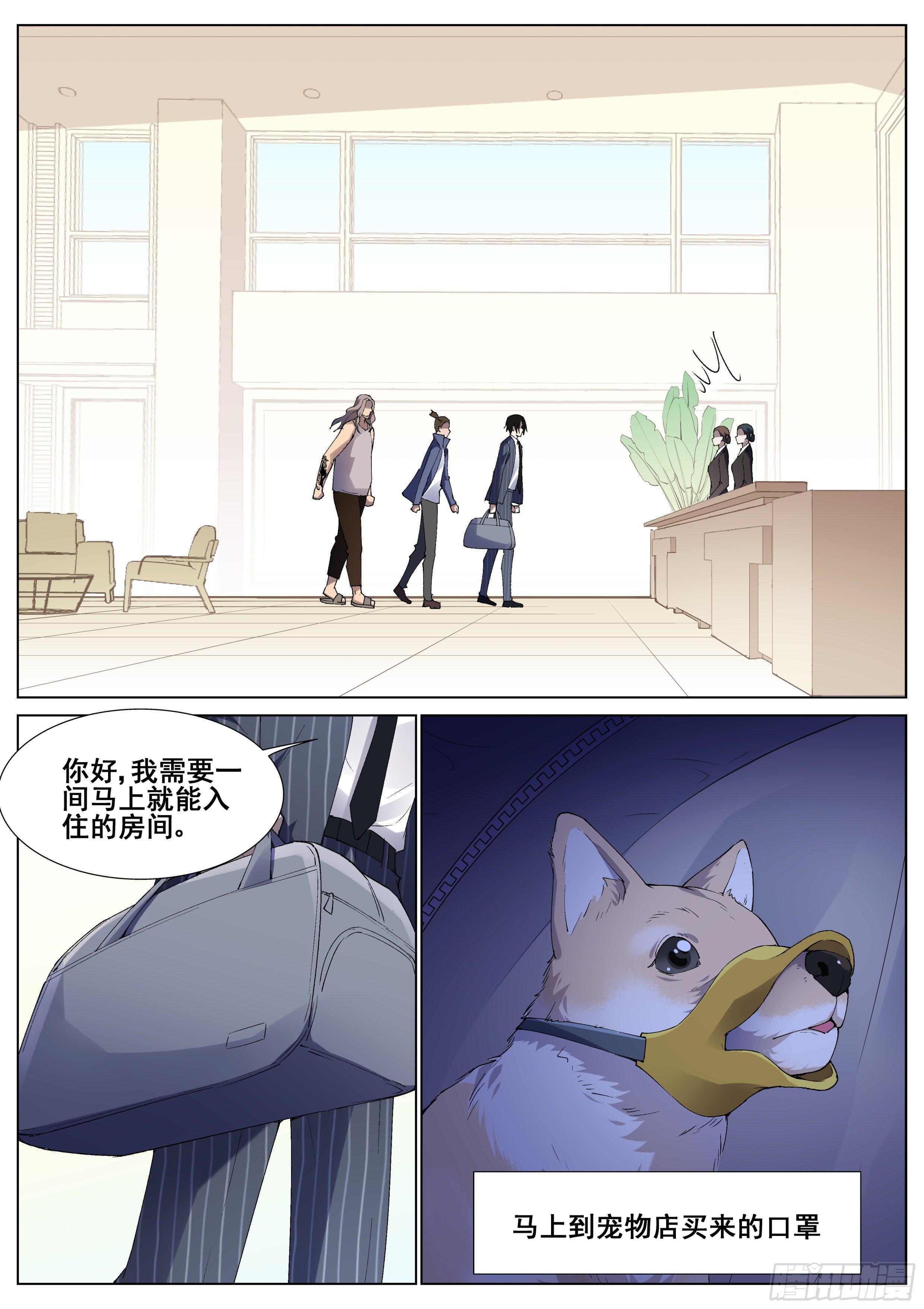 15.jpg