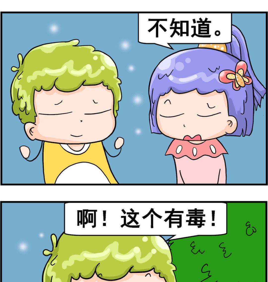 2.jpg