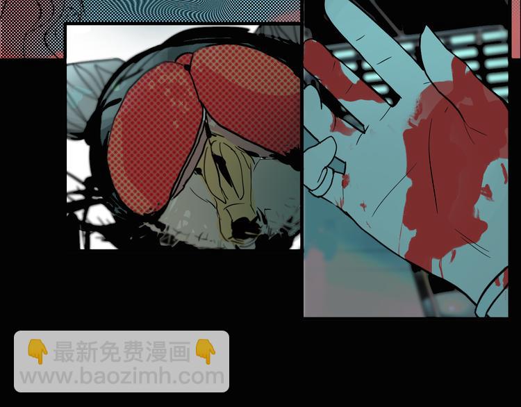 33.jpg
