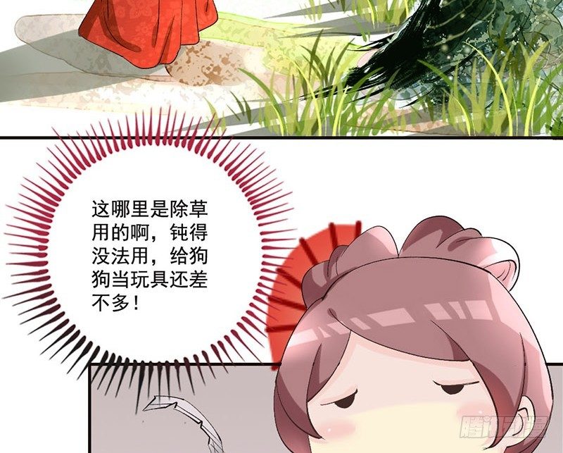 40.jpg