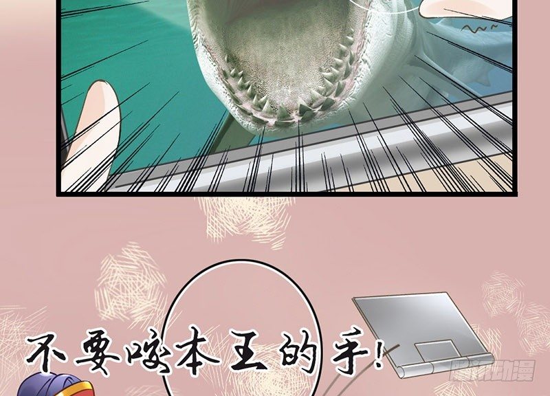 41.jpg