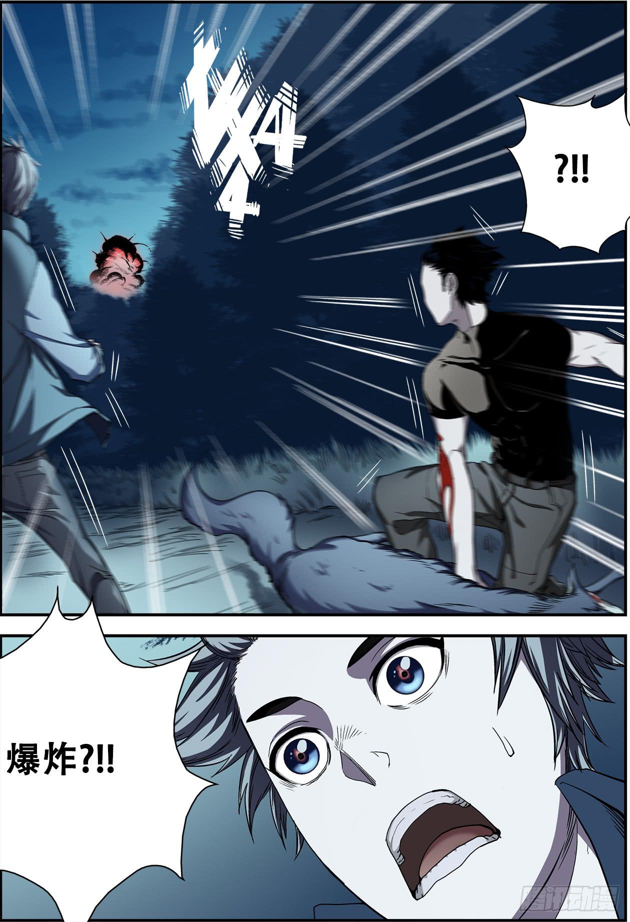 5.jpg