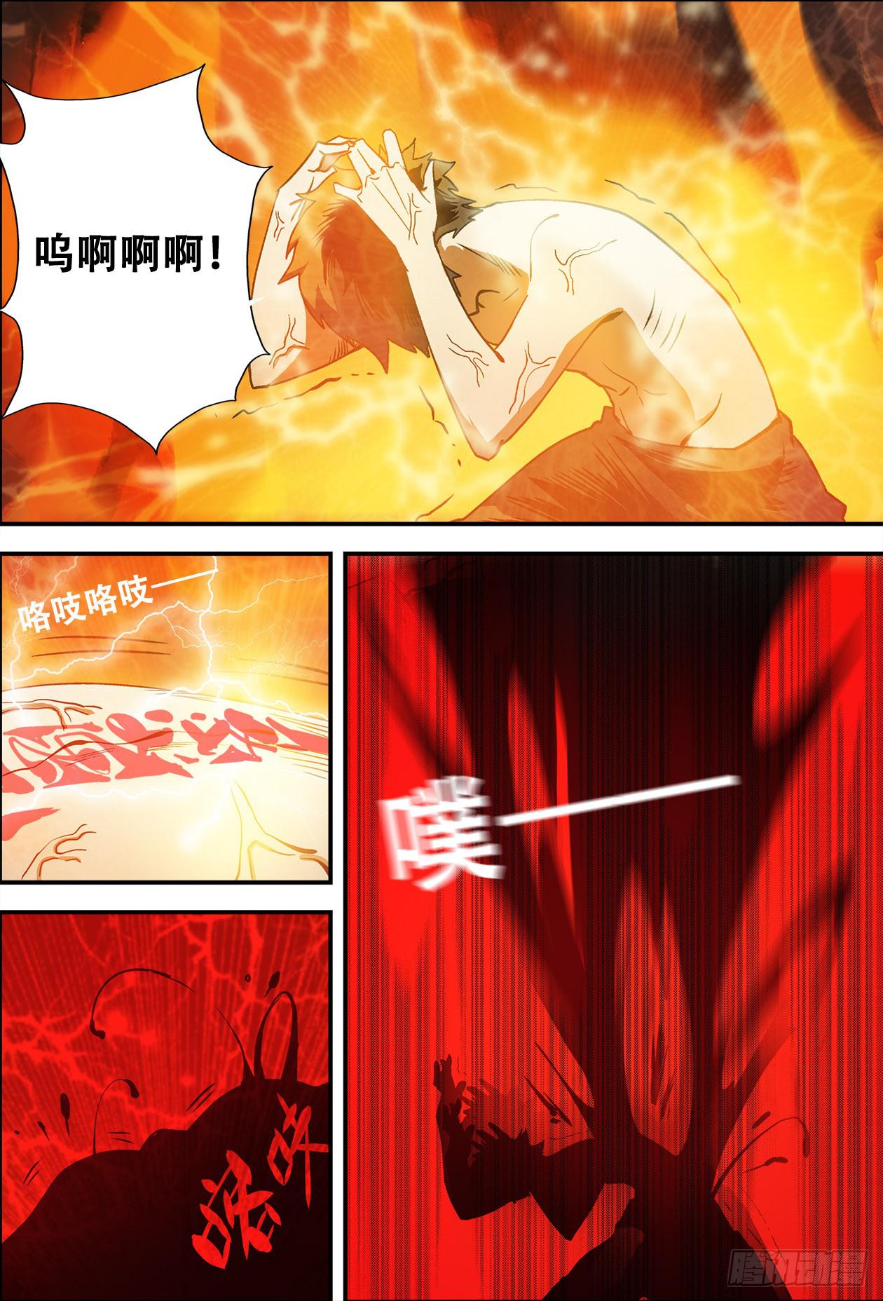 11.jpg