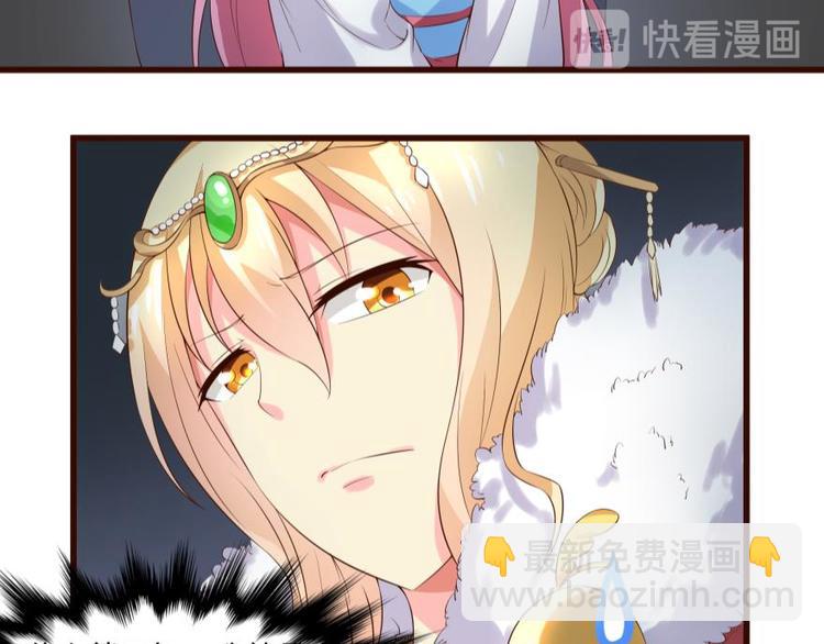 41.jpg