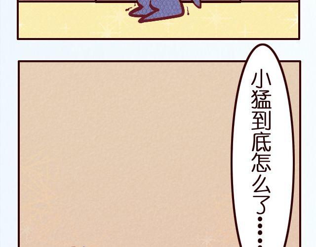 35.jpg