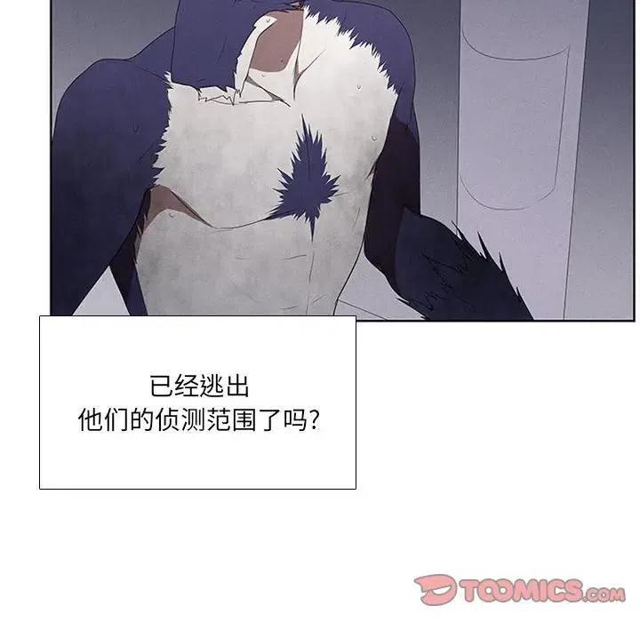 84.jpg