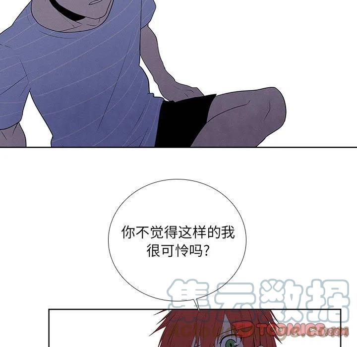 86.jpg