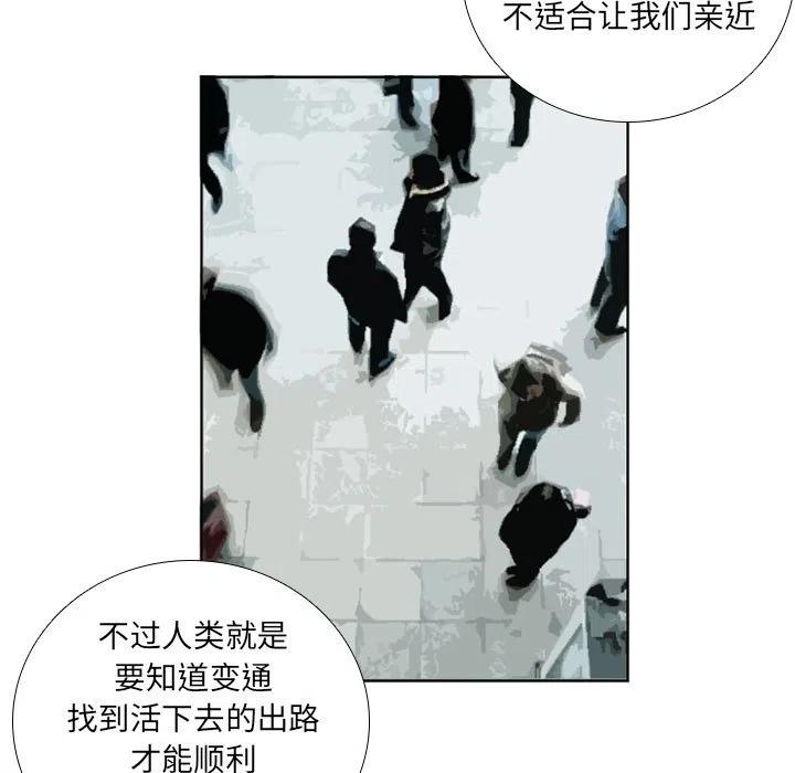 78.jpg