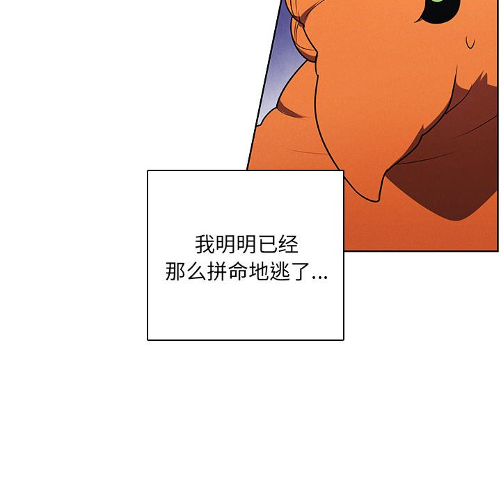 98.jpg
