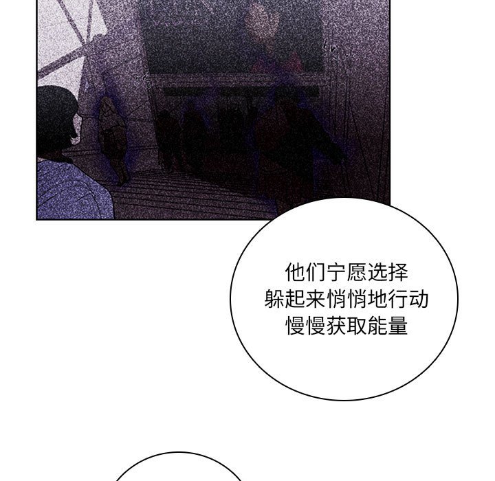 78.jpg