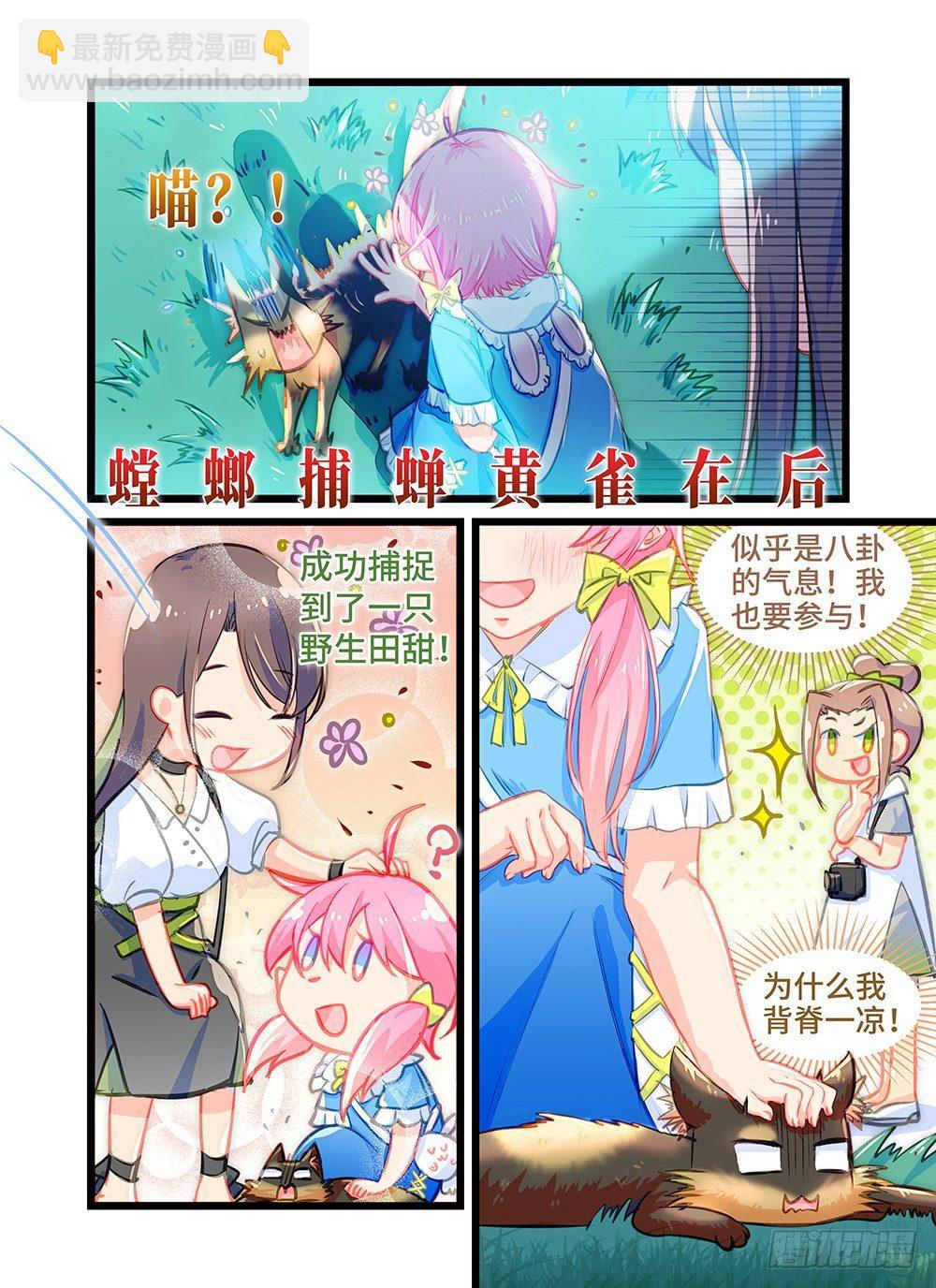 7.jpg