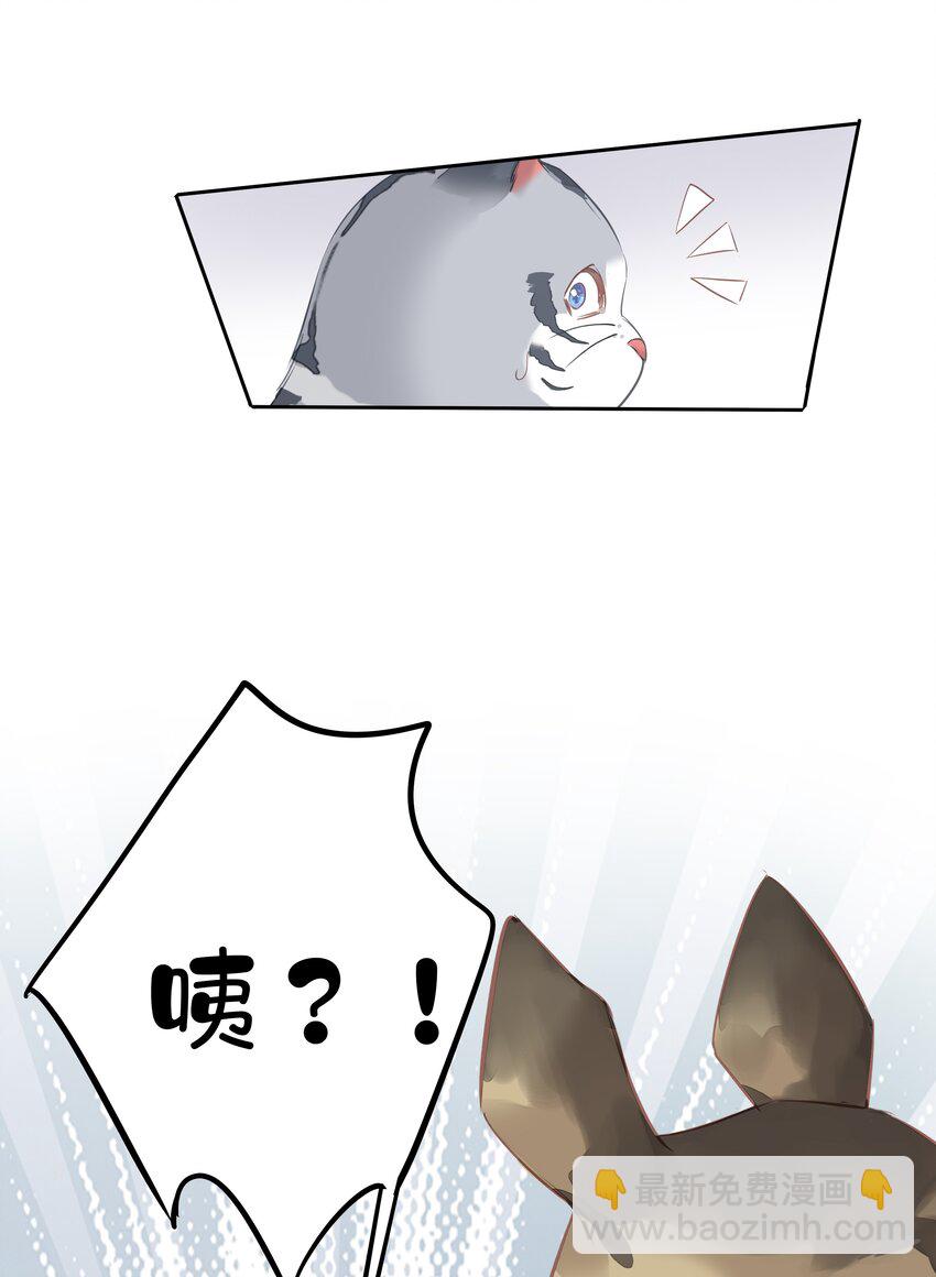 46.jpg