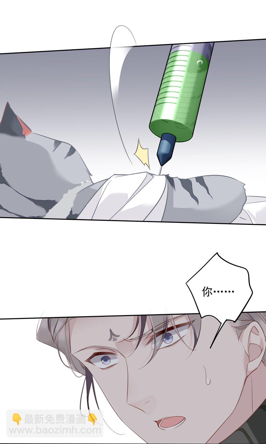 19.jpg
