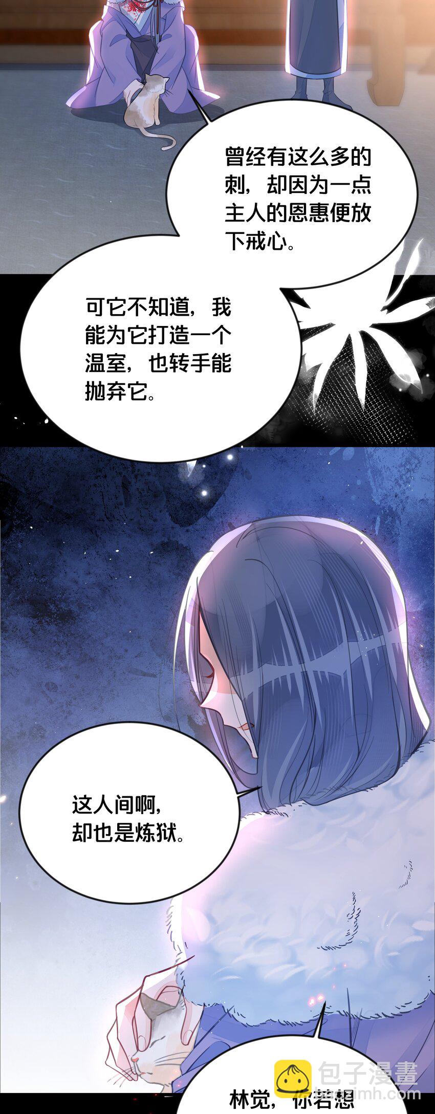 43.jpg