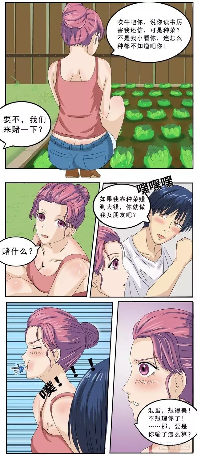 4.jpg