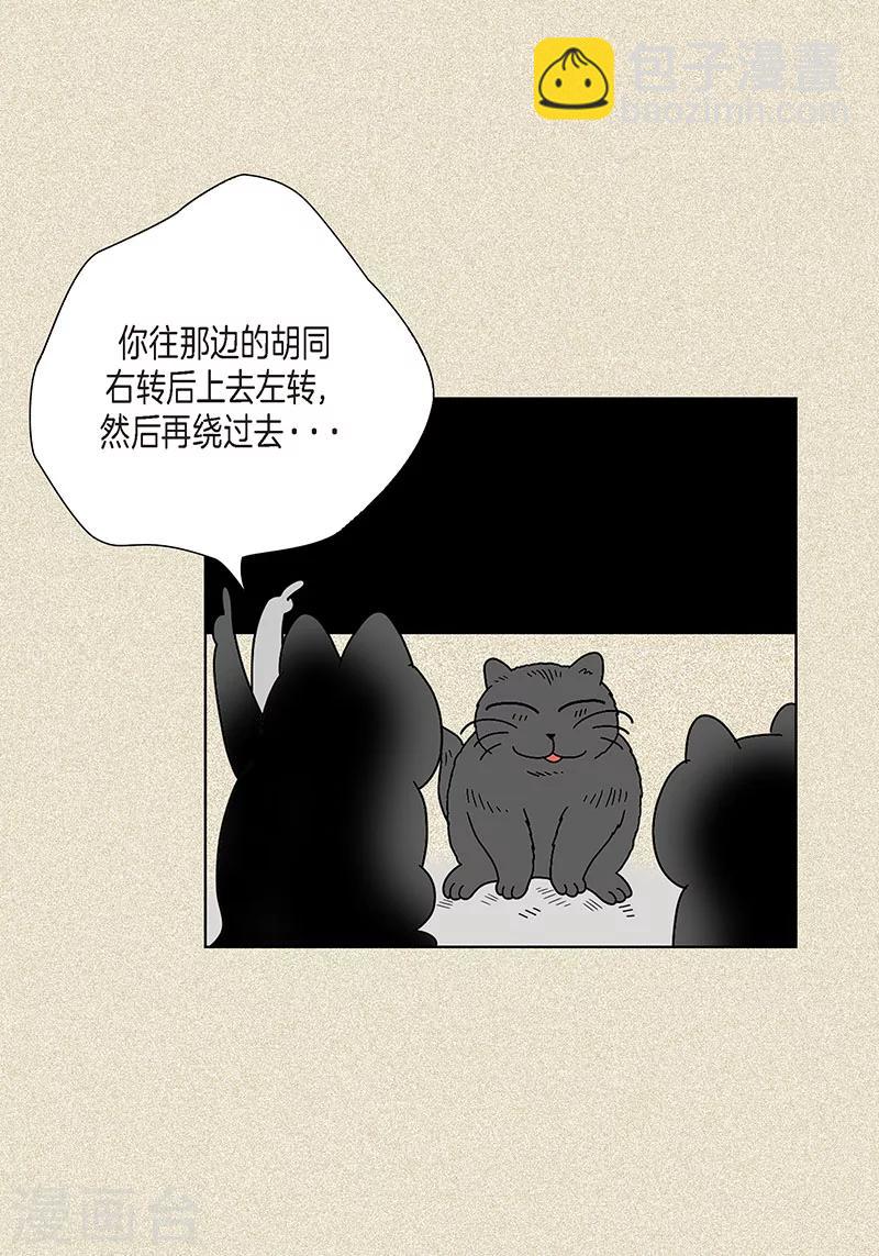 39.jpg