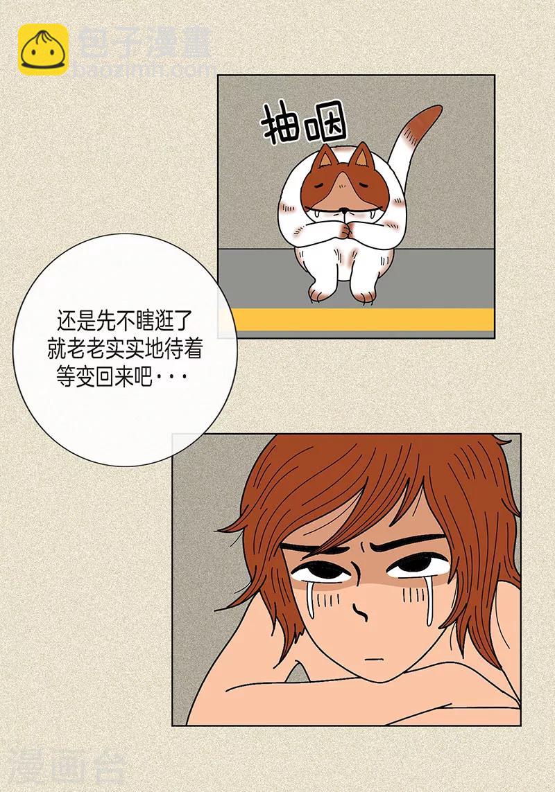 15.jpg