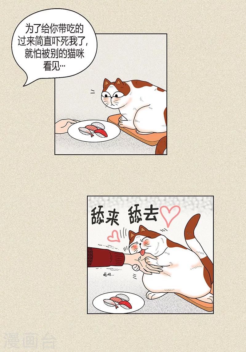 19.jpg