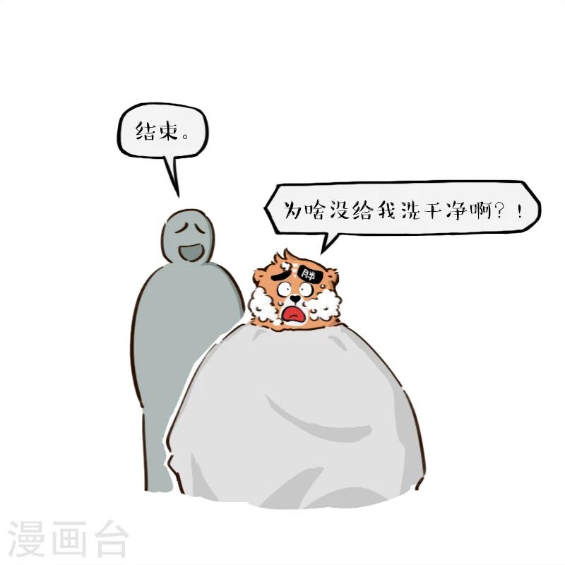 16.jpg