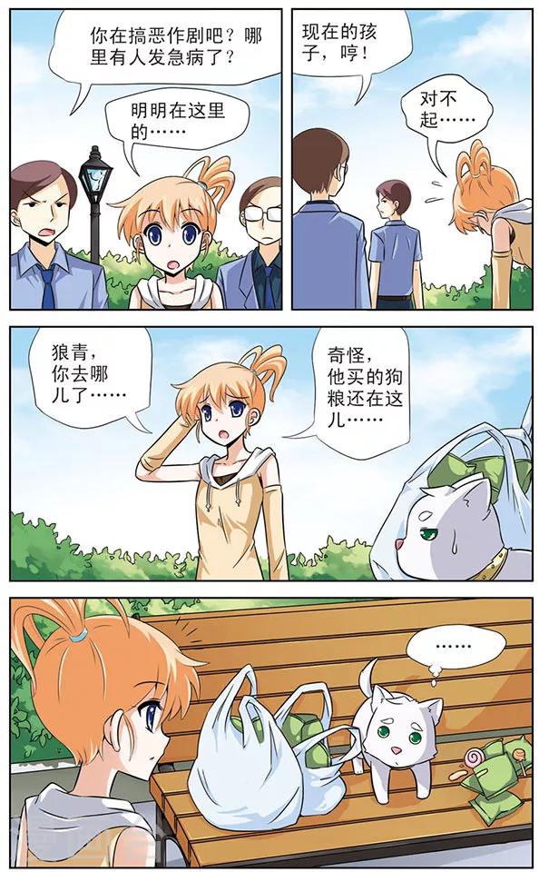 11.jpg