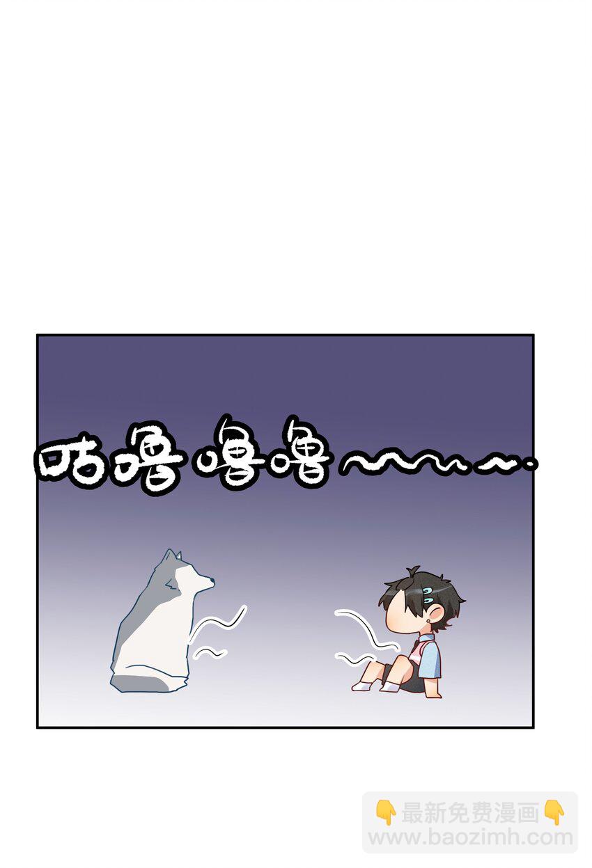 20.jpg
