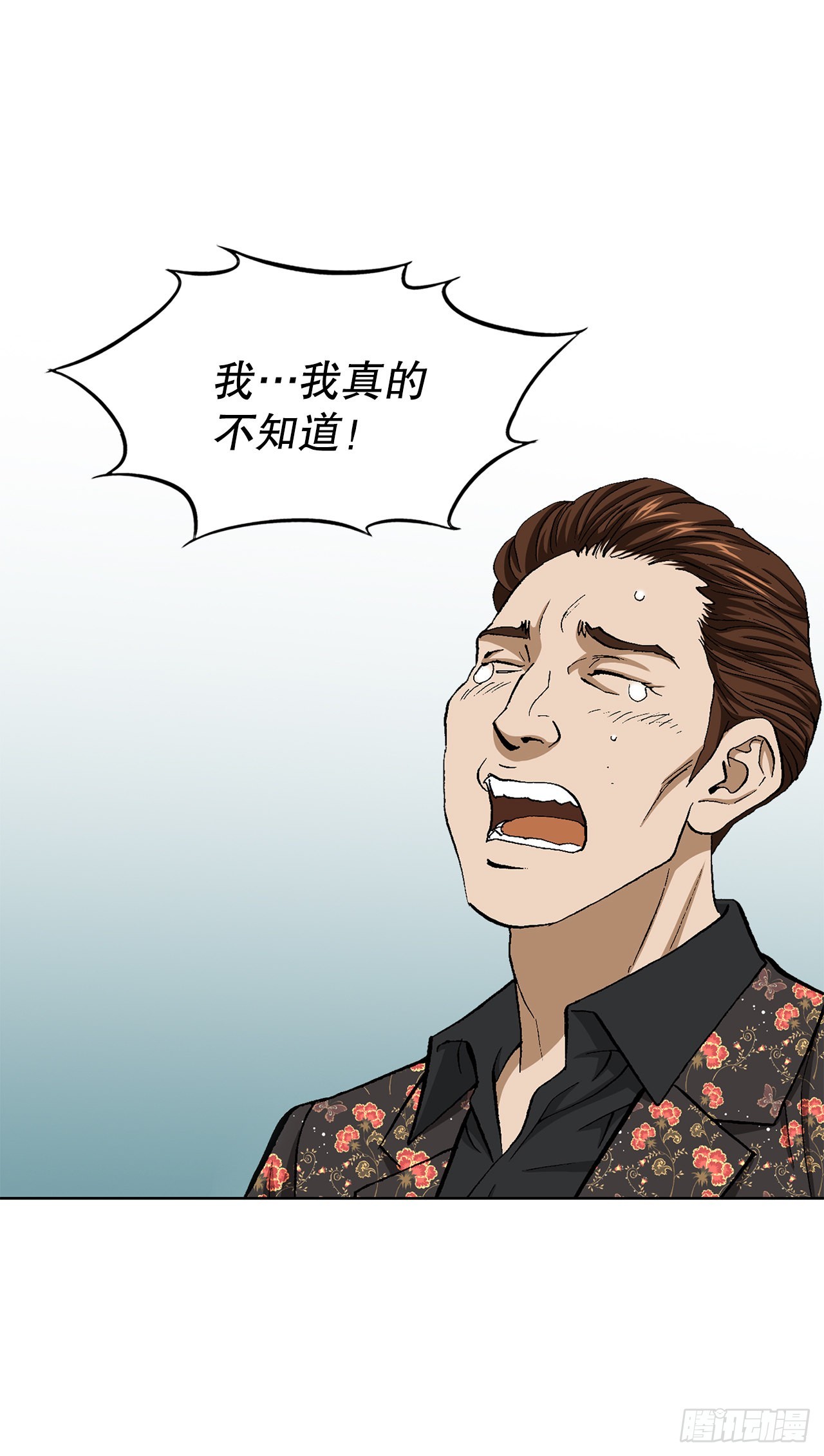 31.jpg