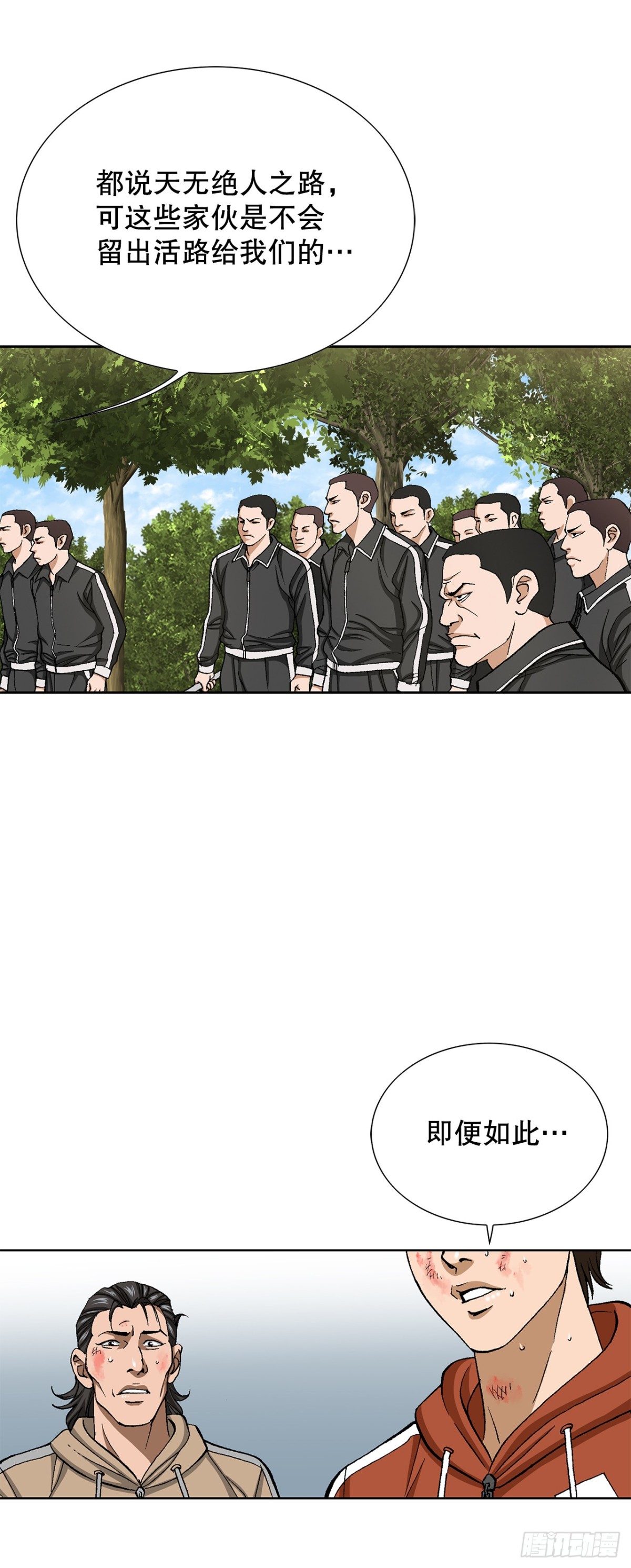 41.jpg